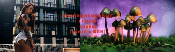 экстази Елабуга