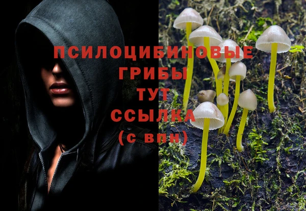 ешки Ельня