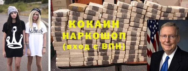 ешки Ельня