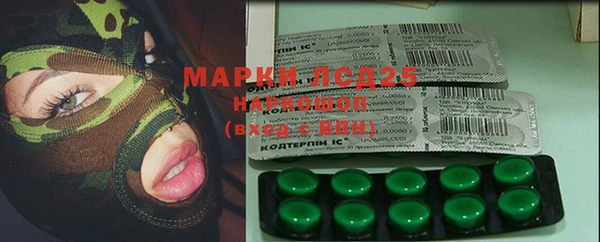 ешки Ельня