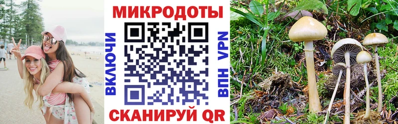 Купить  Балей  Галлюциногенные грибы мицелий 